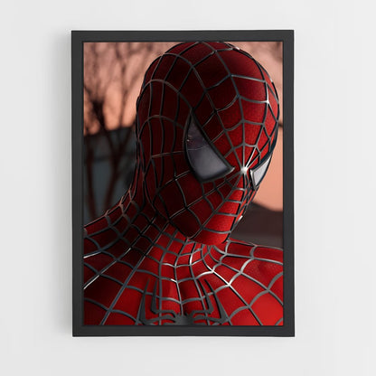 spiderman-6 cadre Noir