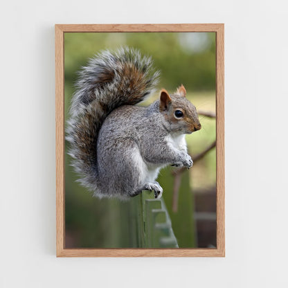 squirrel-3 cadre Bois clair
