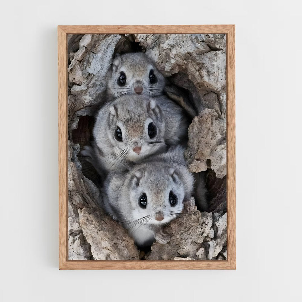 squirrel-5 cadre Bois clair