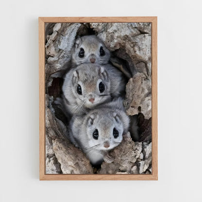 squirrel-5 cadre Bois clair