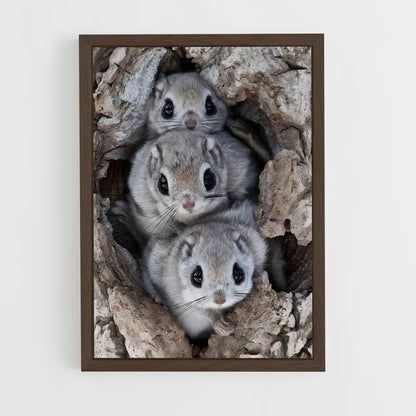 squirrel-5 cadre Bois foncé