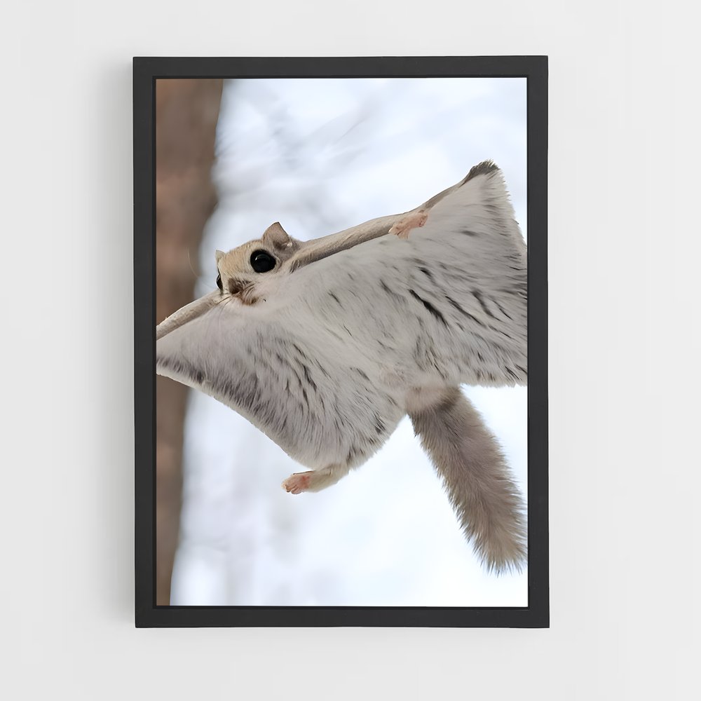 squirrel-6 cadre Noir