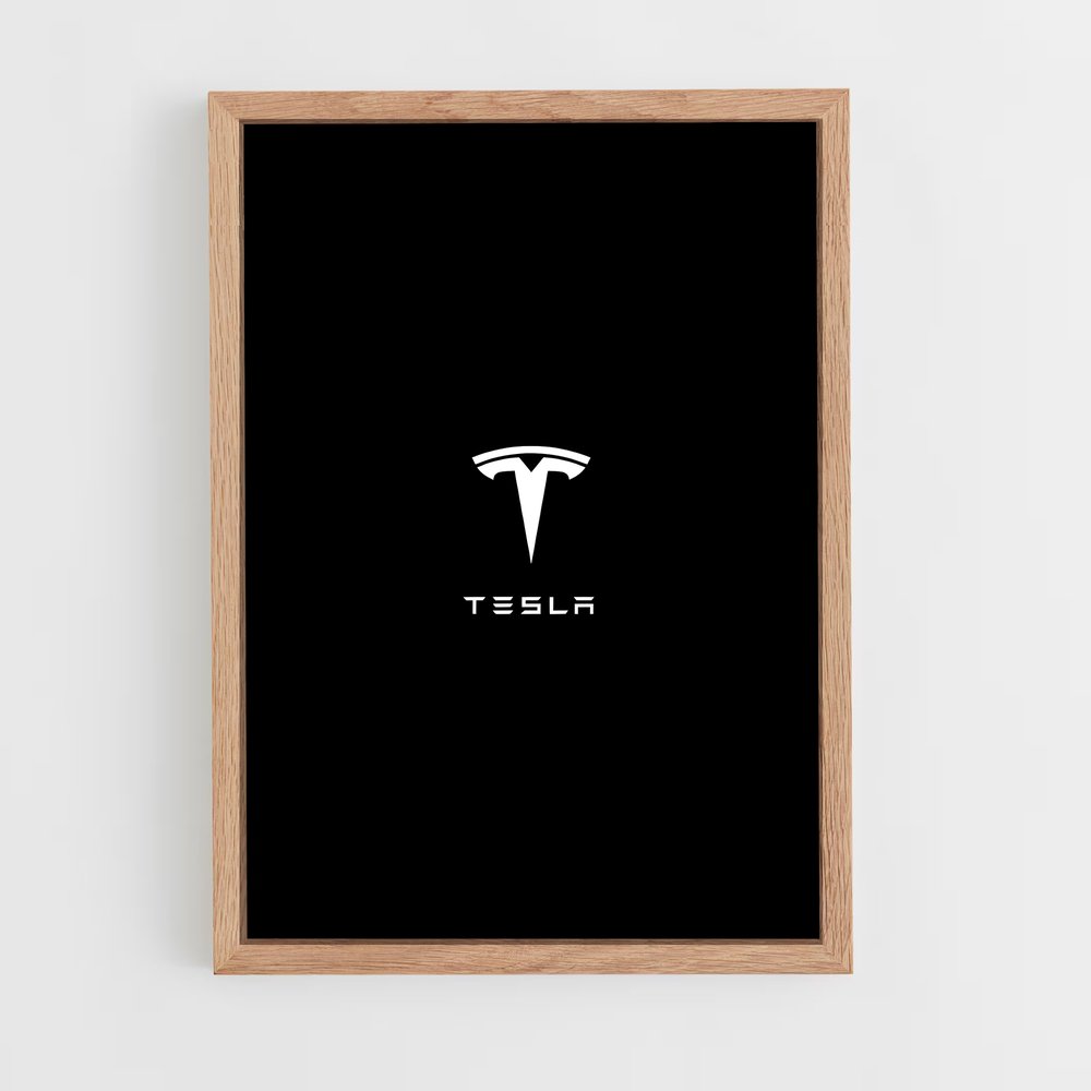tesla-10 cadre Bois clair