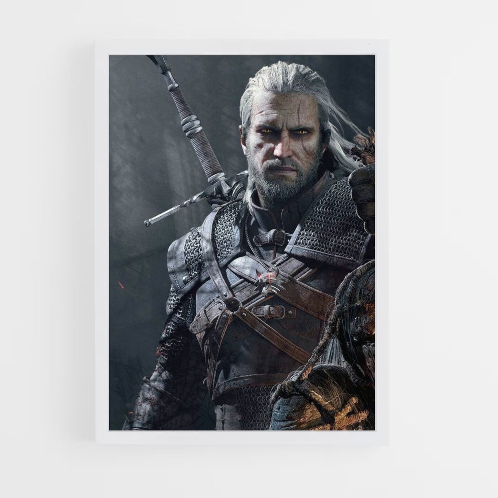 Poster The Witcher Jeu