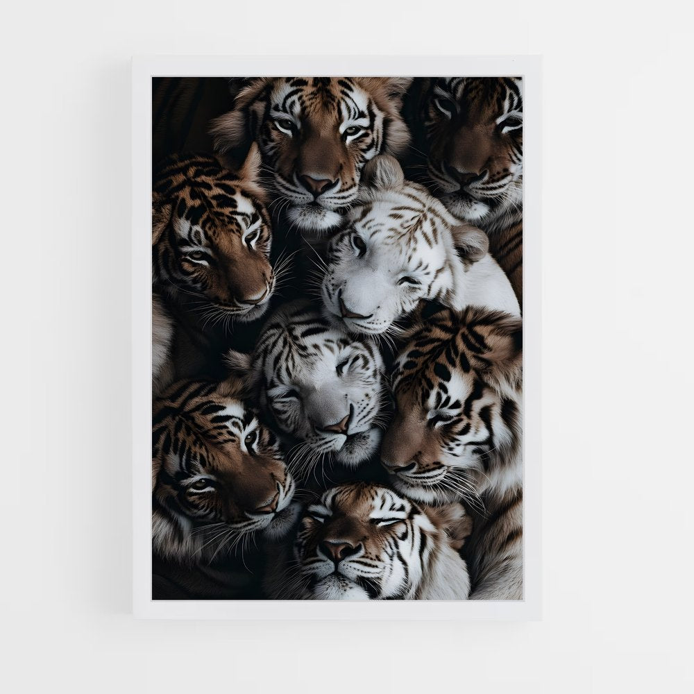 tiger-3 cadre Blanc