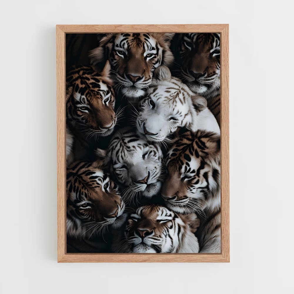 tiger-3 cadre Bois clair