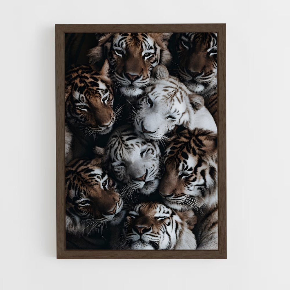 tiger-3 cadre Bois foncé