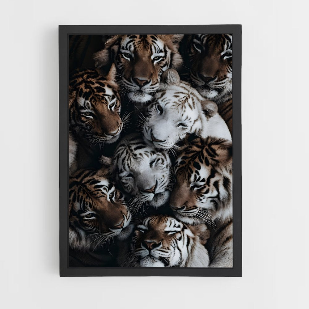 tiger-3 cadre Noir