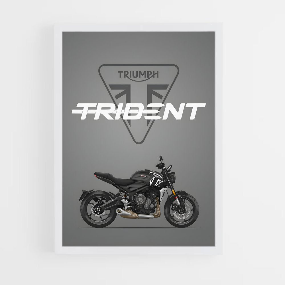 triumph-1 cadre Blanc