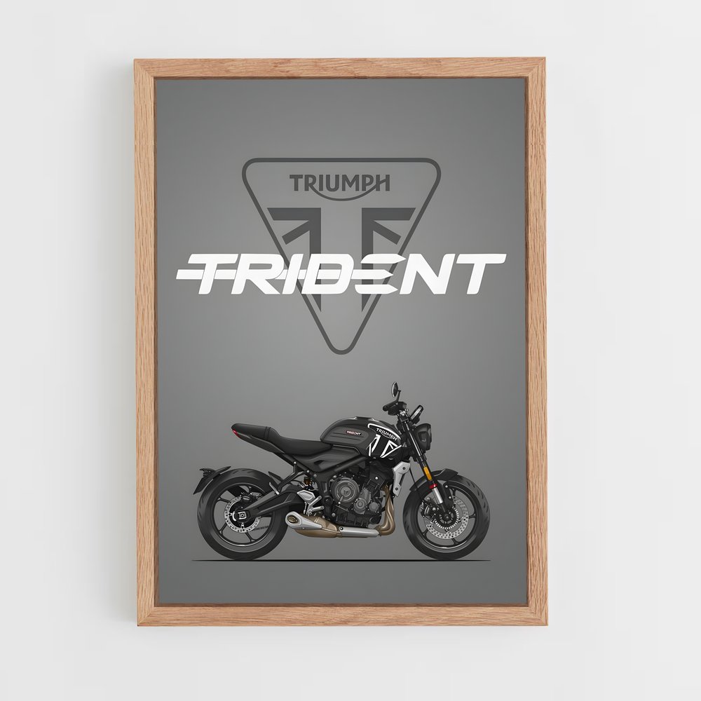 triumph-1 cadre Bois clair