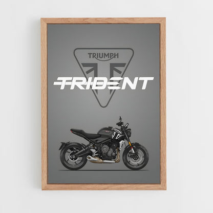 triumph-1 cadre Bois clair