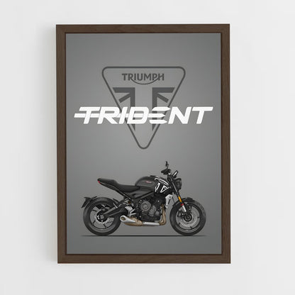 triumph-1 cadre Bois foncé