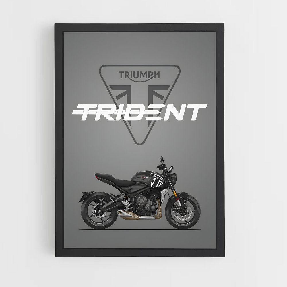 triumph-1 cadre Noir