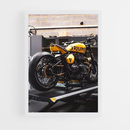 triumph-6 cadre Blanc