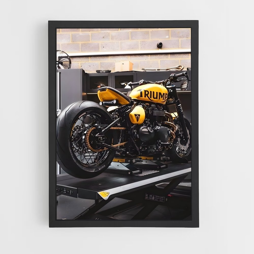 triumph-6 cadre Noir