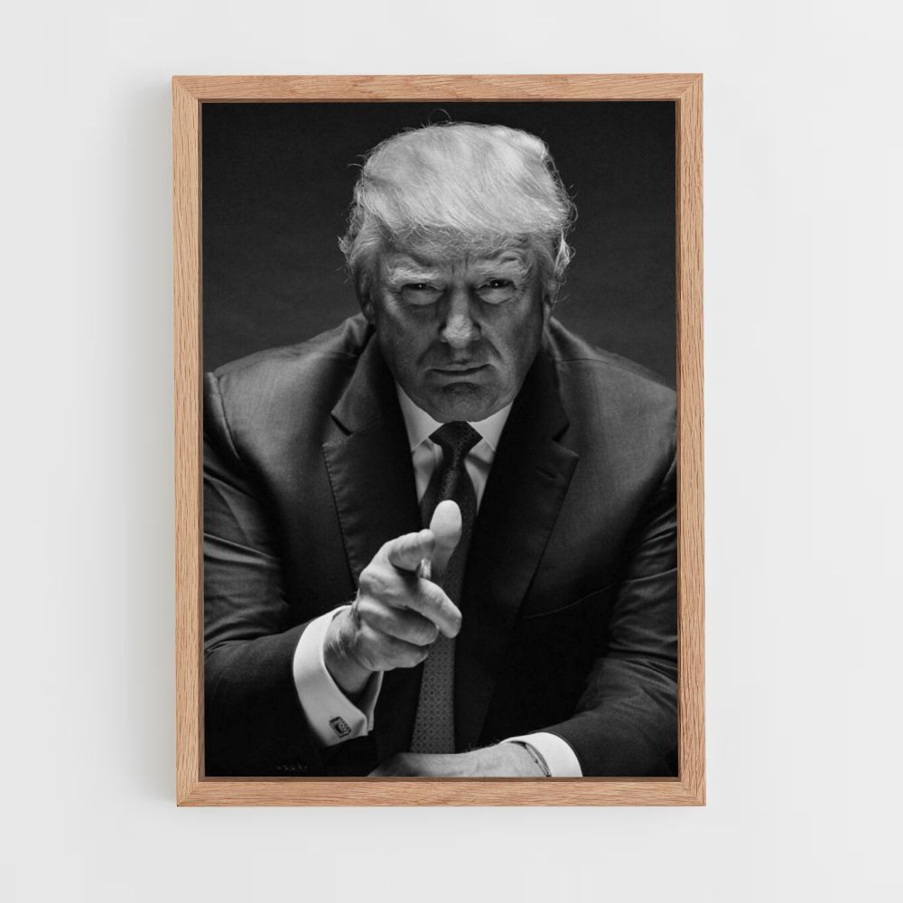 Poster Trump Business