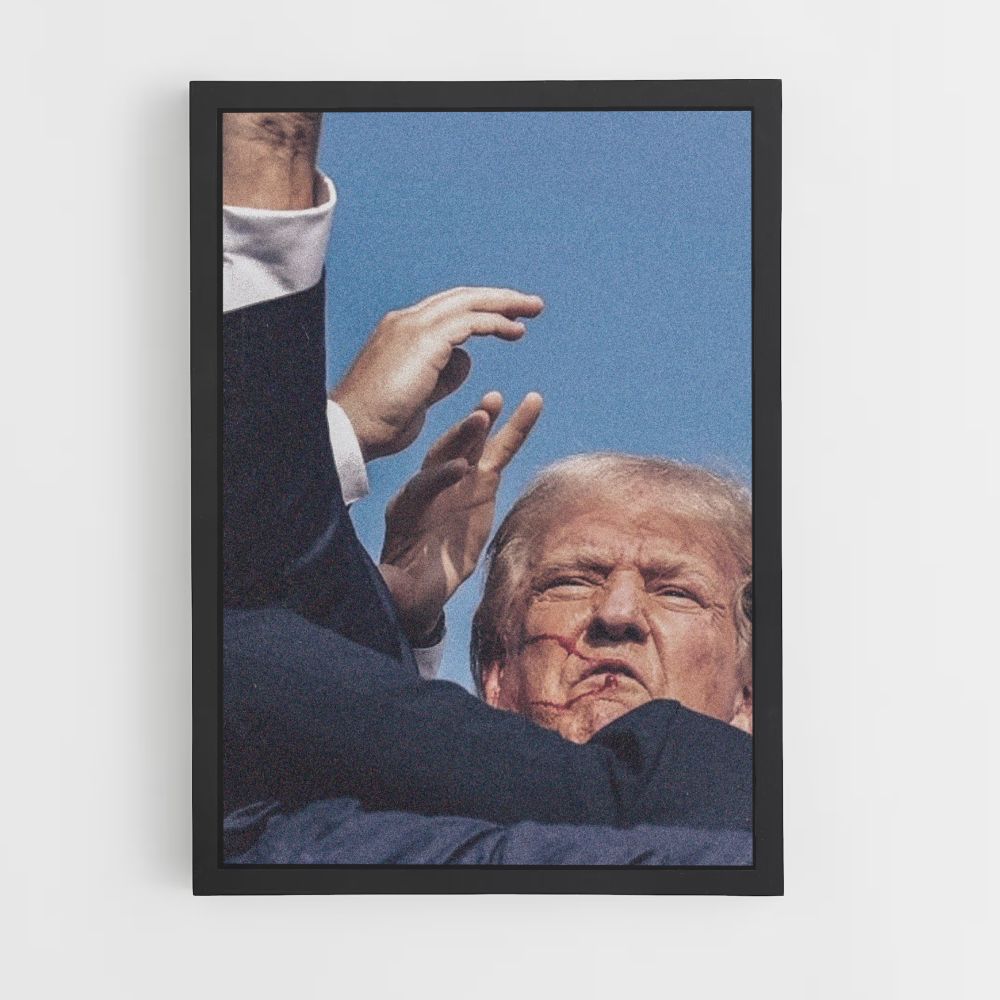 Poster Trump Victoire