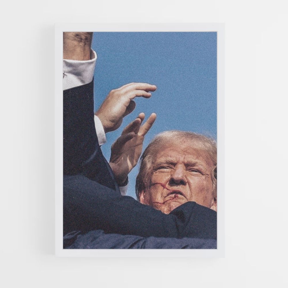 Poster Trump Victoire