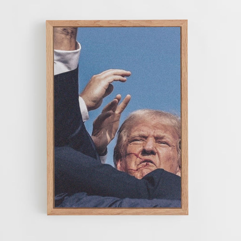 Poster Trump Victoire