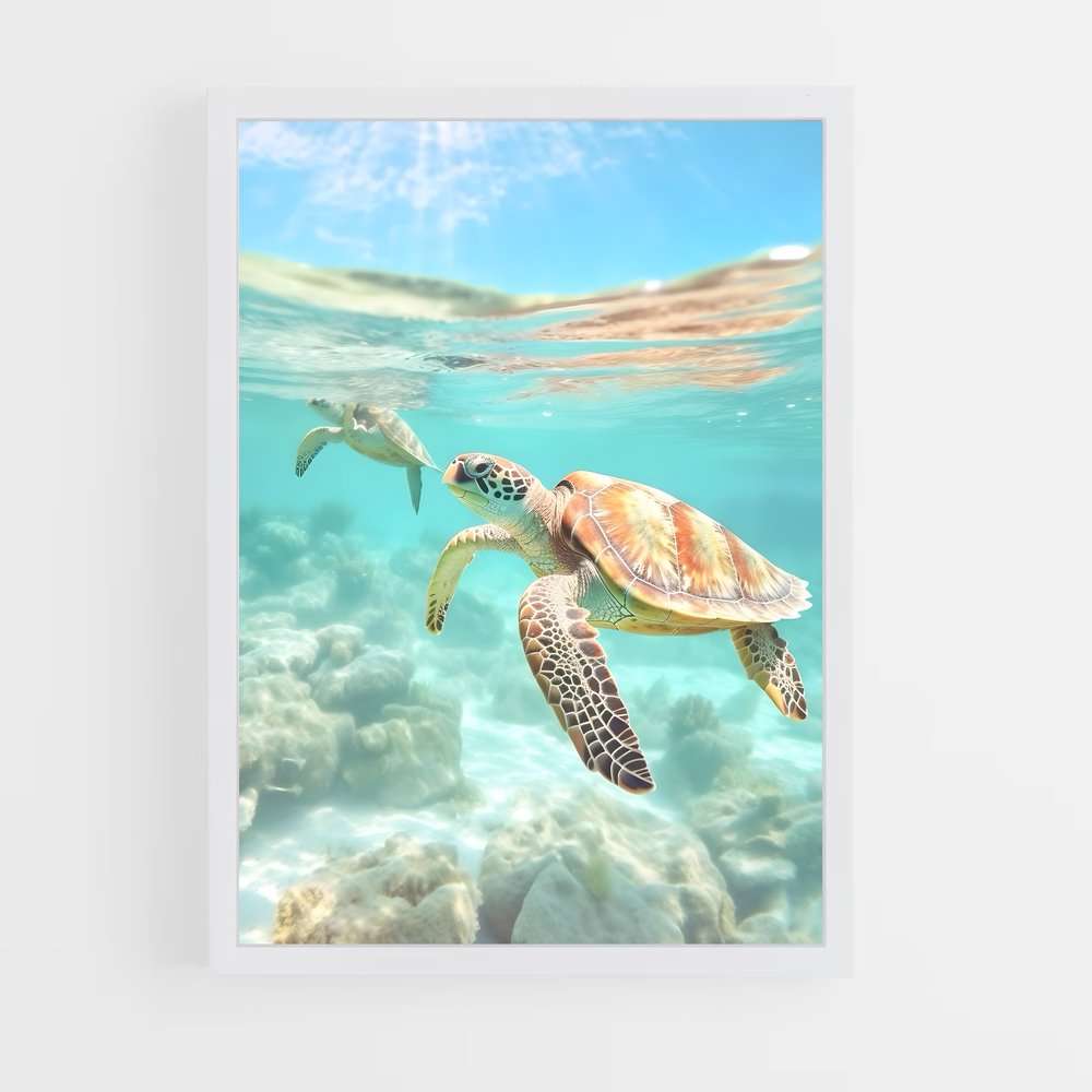 turtle-1 cadre Blanc