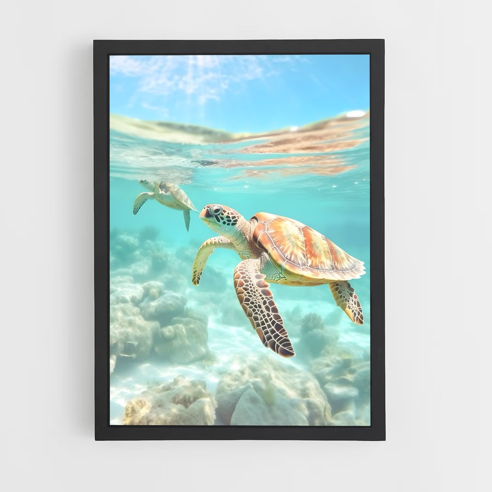 turtle-1 cadre Noir