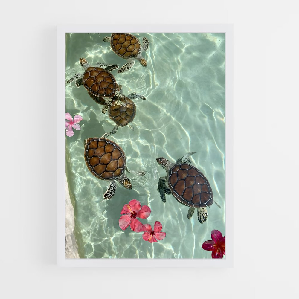 turtle-4 cadre Blanc
