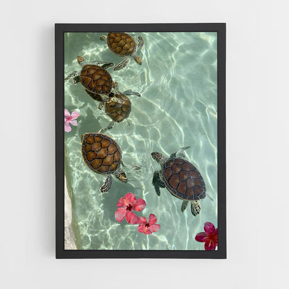 turtle-4 cadre Noir