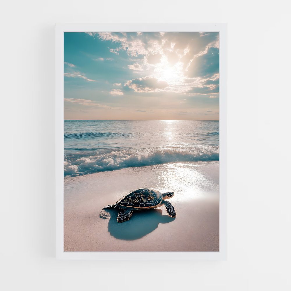 turtle-5 cadre Blanc