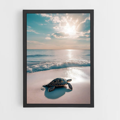 turtle-5 cadre Noir