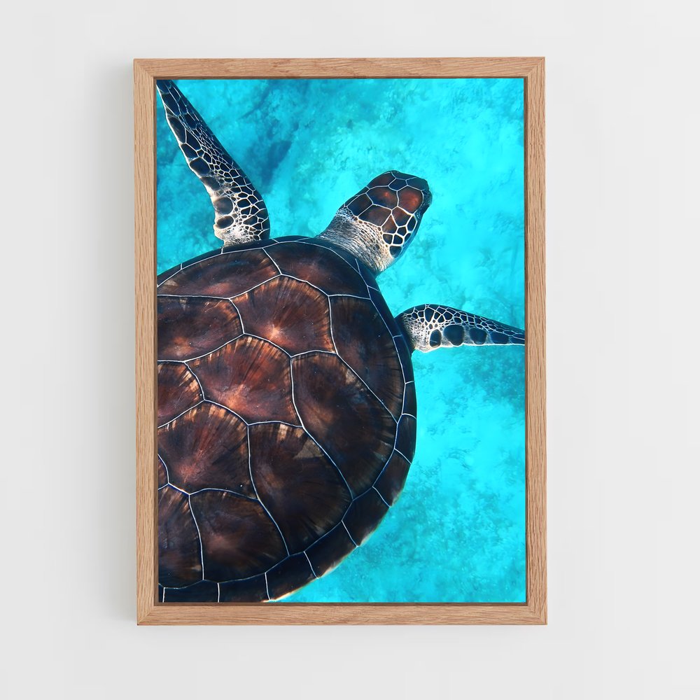 turtle-8 cadre Bois clair