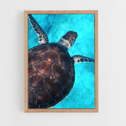 turtle-8 cadre Bois clair