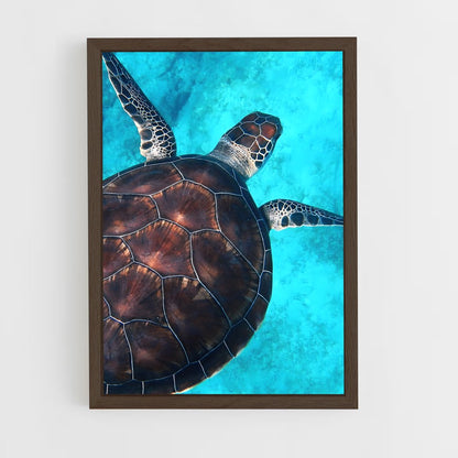 turtle-8 cadre Bois foncé