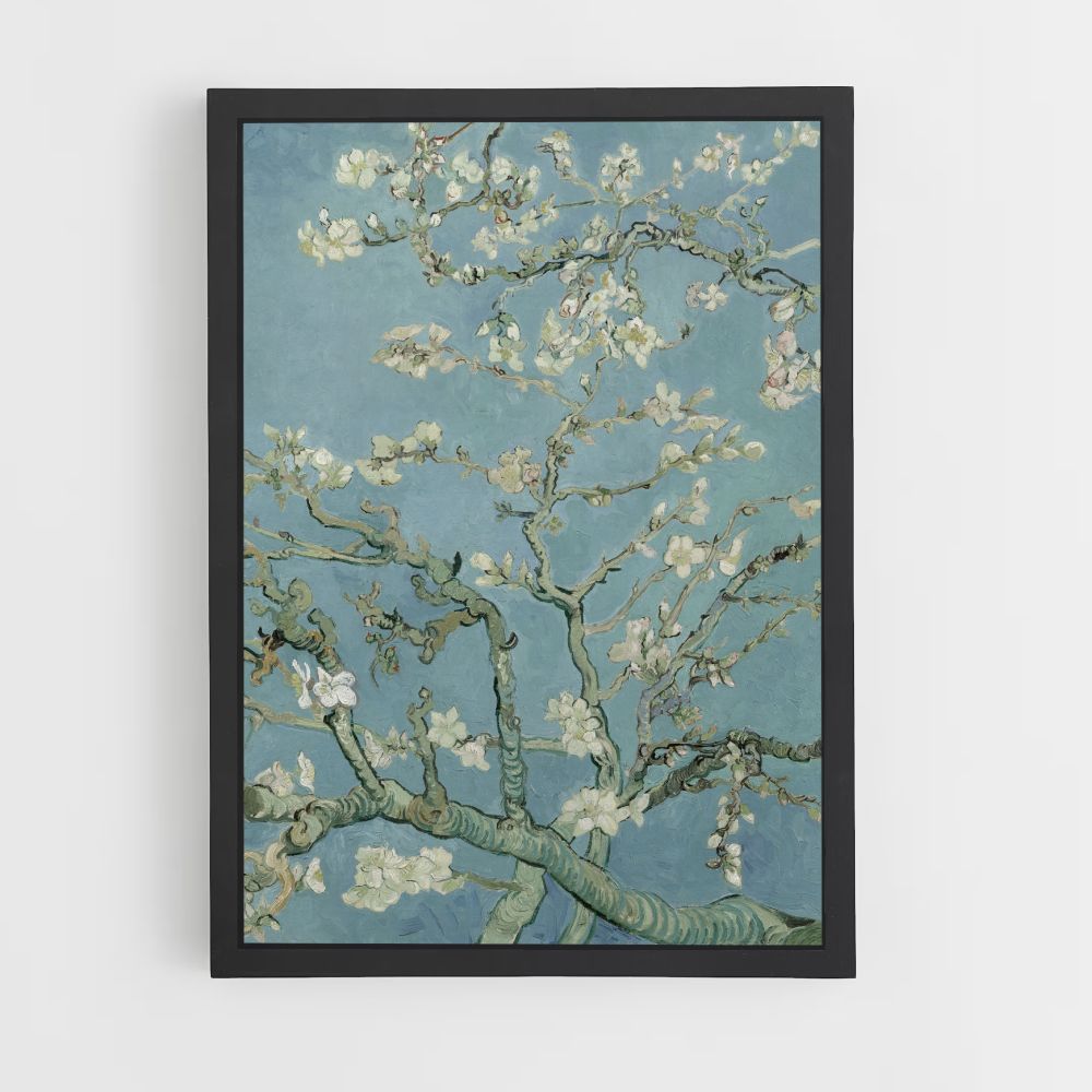 Poster Amandier en Fleur