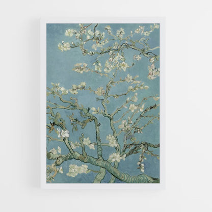 Poster Amandier en Fleur