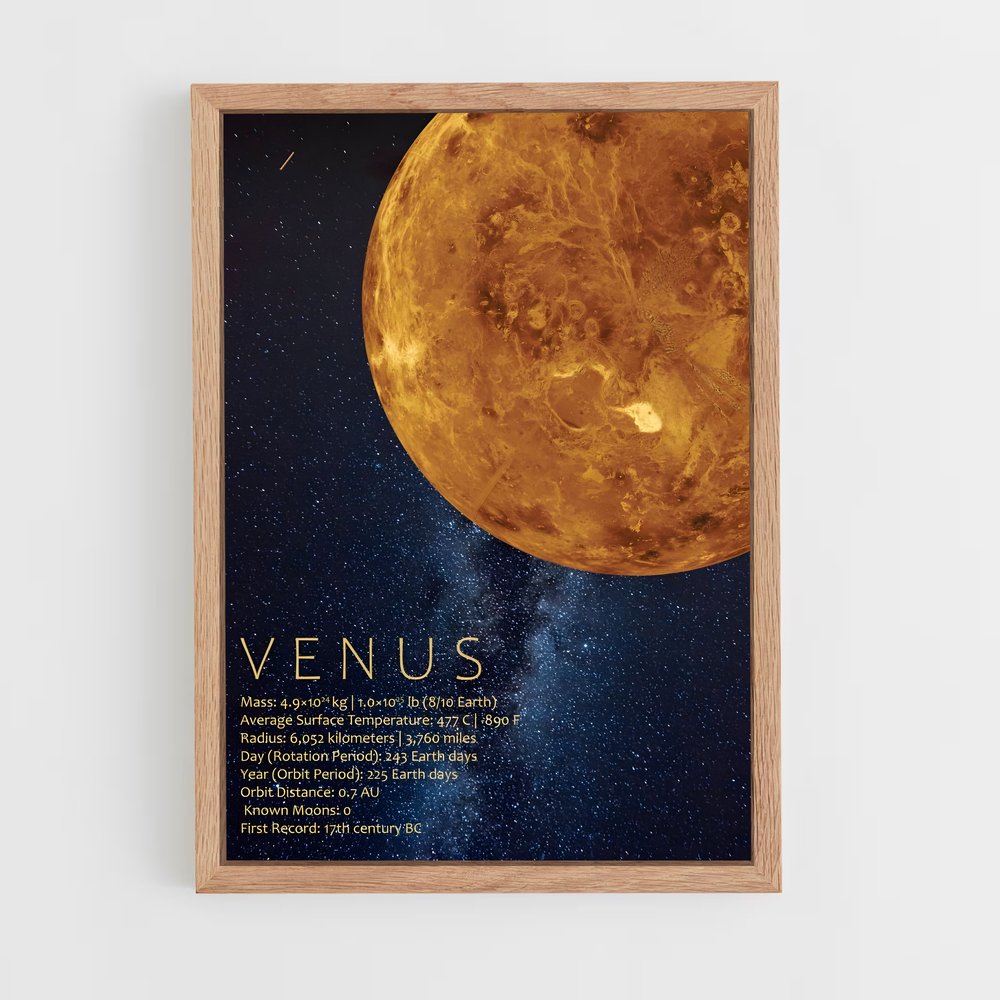 venus-6 cadre Bois clair