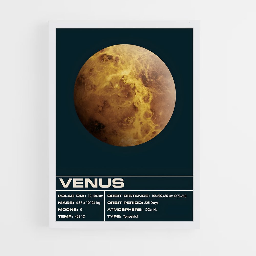 venus-8 cadre Blanc