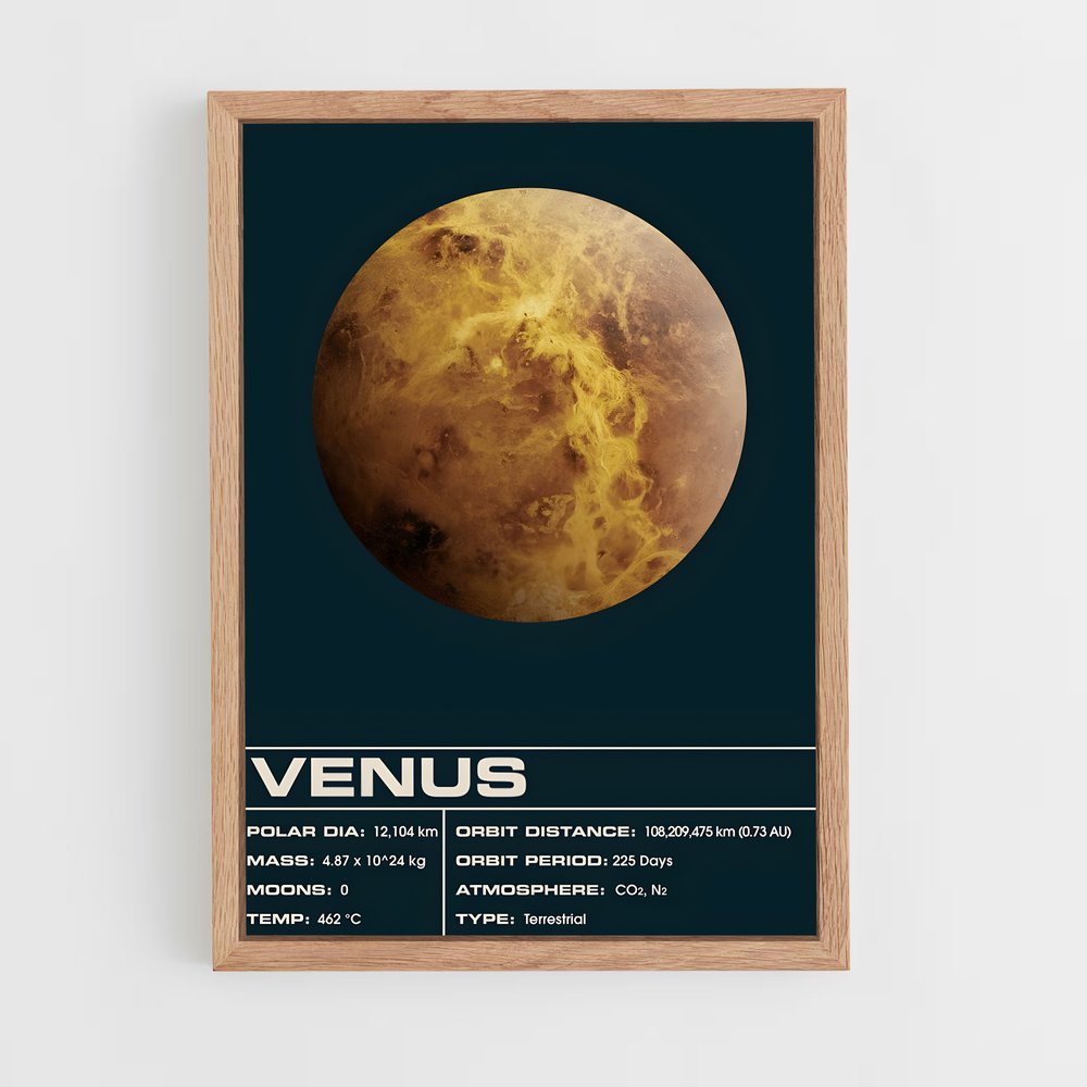 venus-8 cadre Bois clair