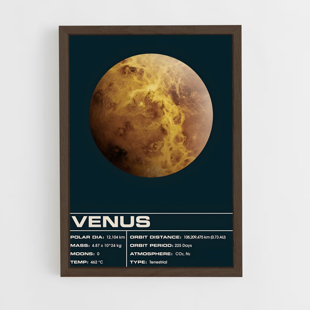 venus-8 cadre Bois foncé