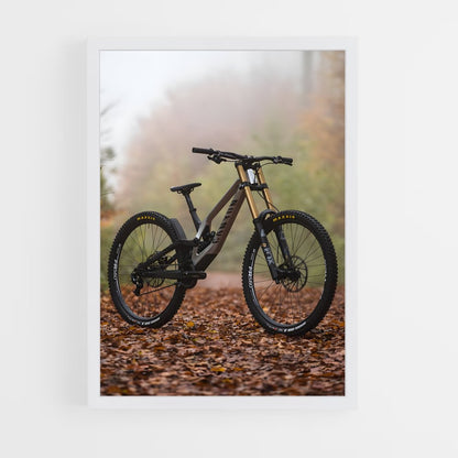 vtt-1 cadre Blanc