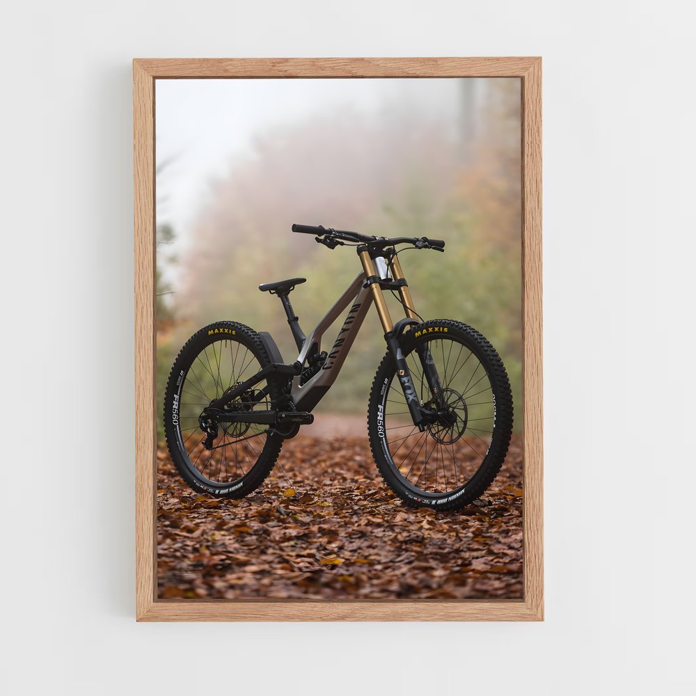 vtt-1 cadre Bois clair