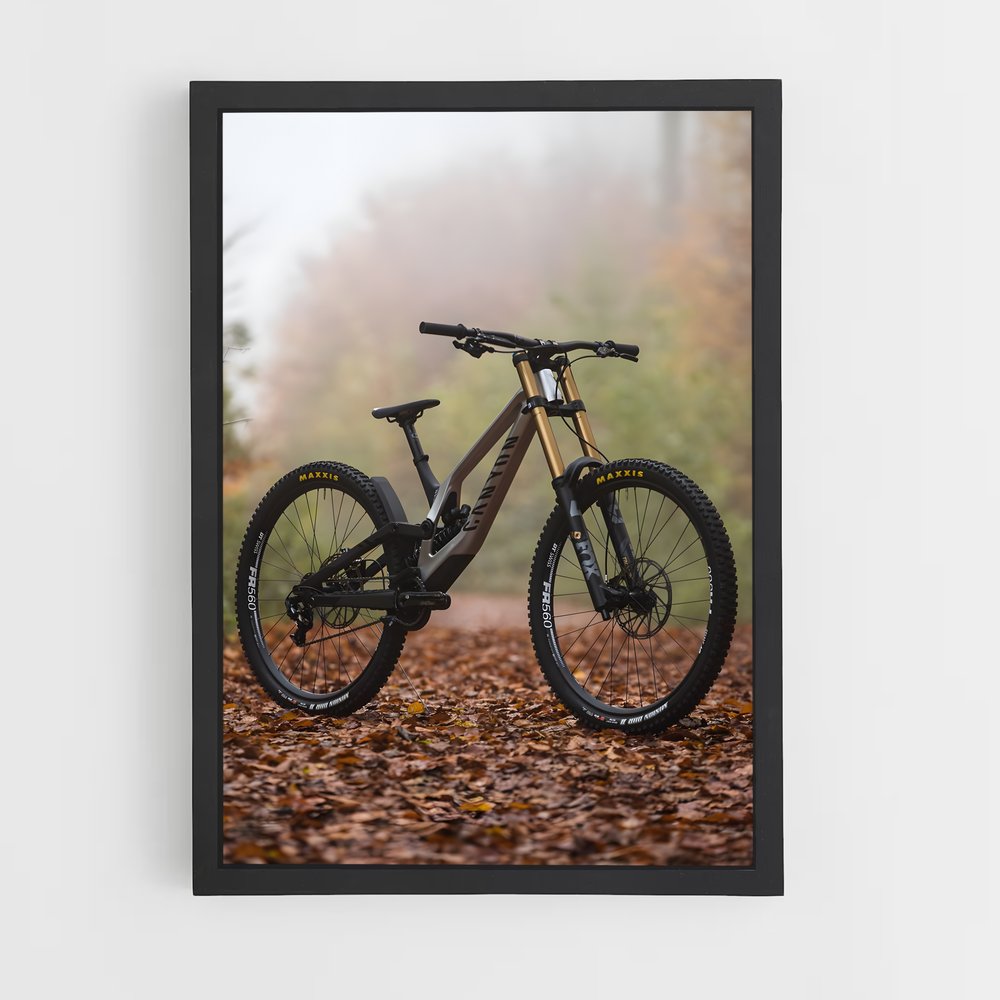 vtt-1 cadre Noir
