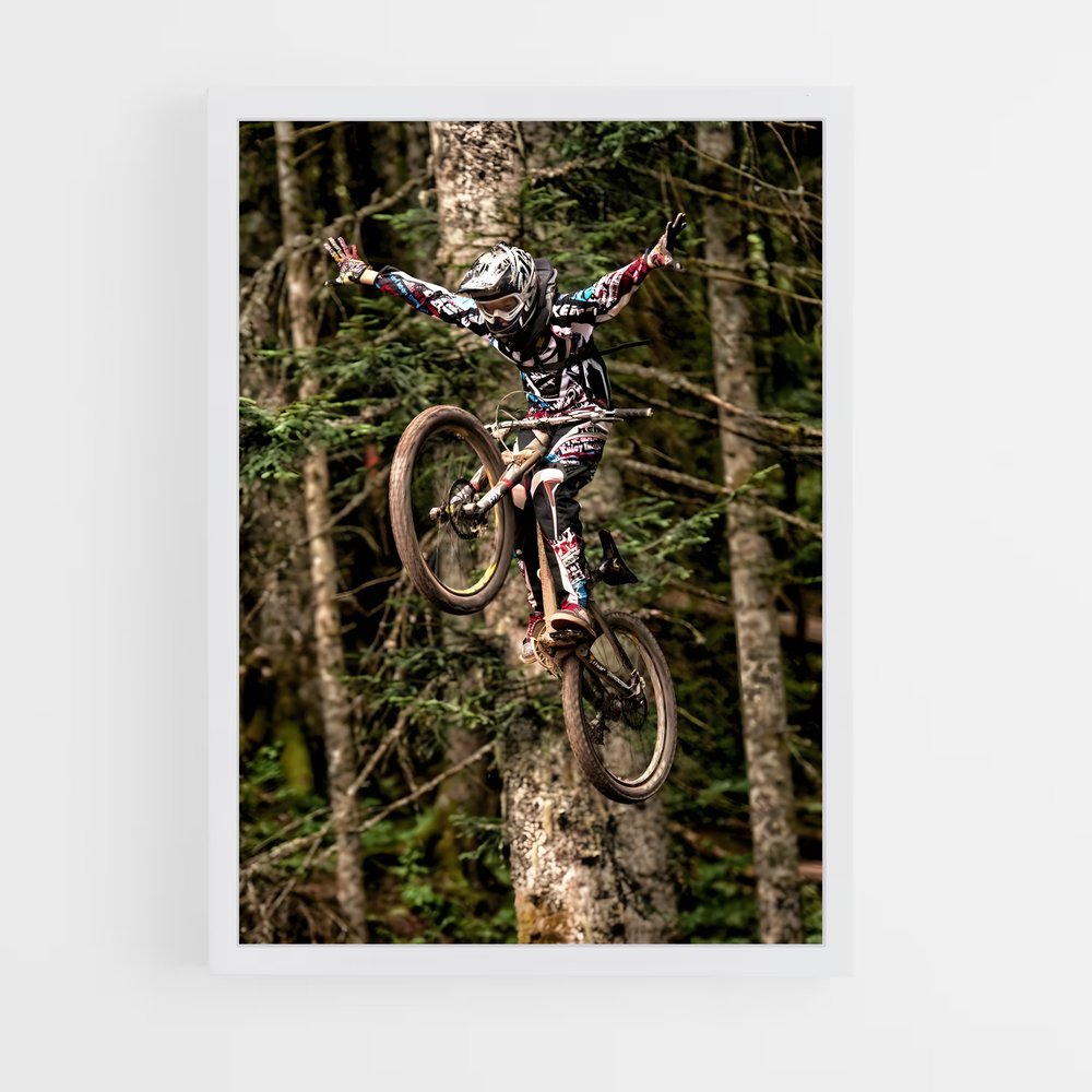 vtt-10 cadre Blanc