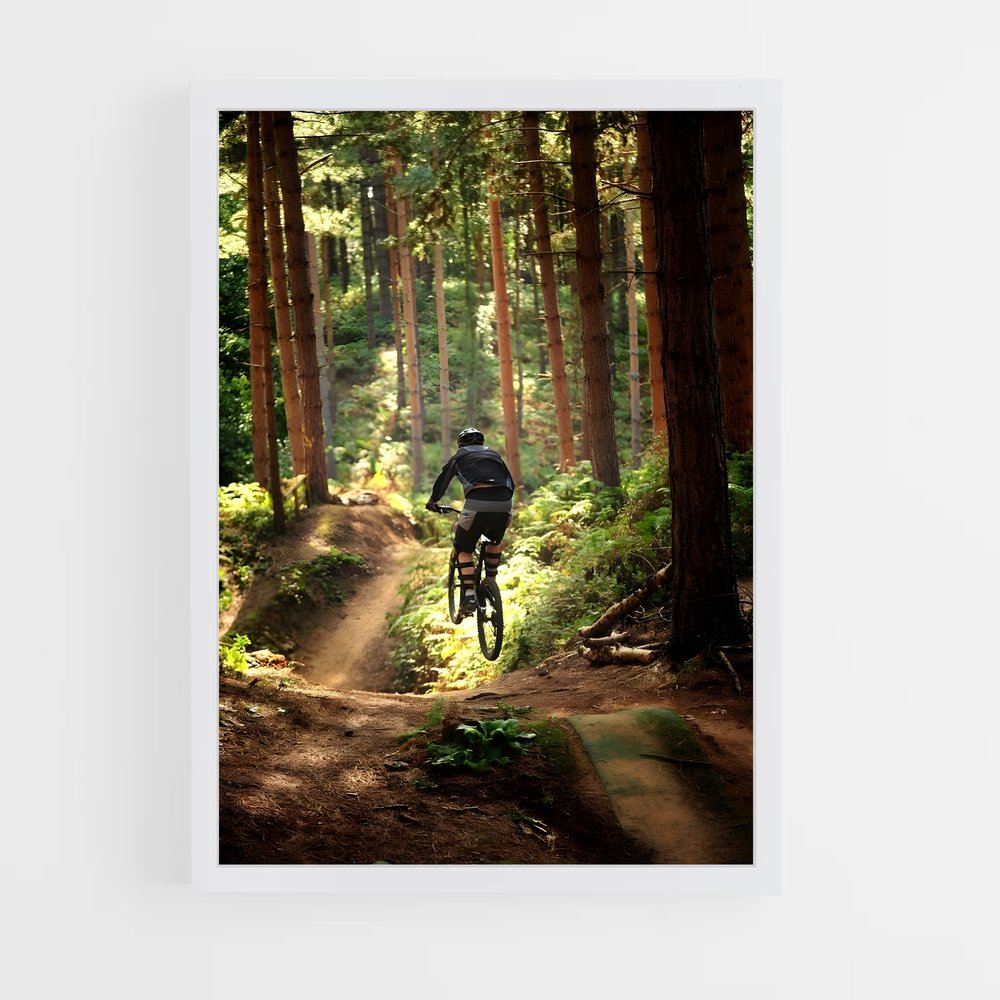 vtt-12 cadre Blanc