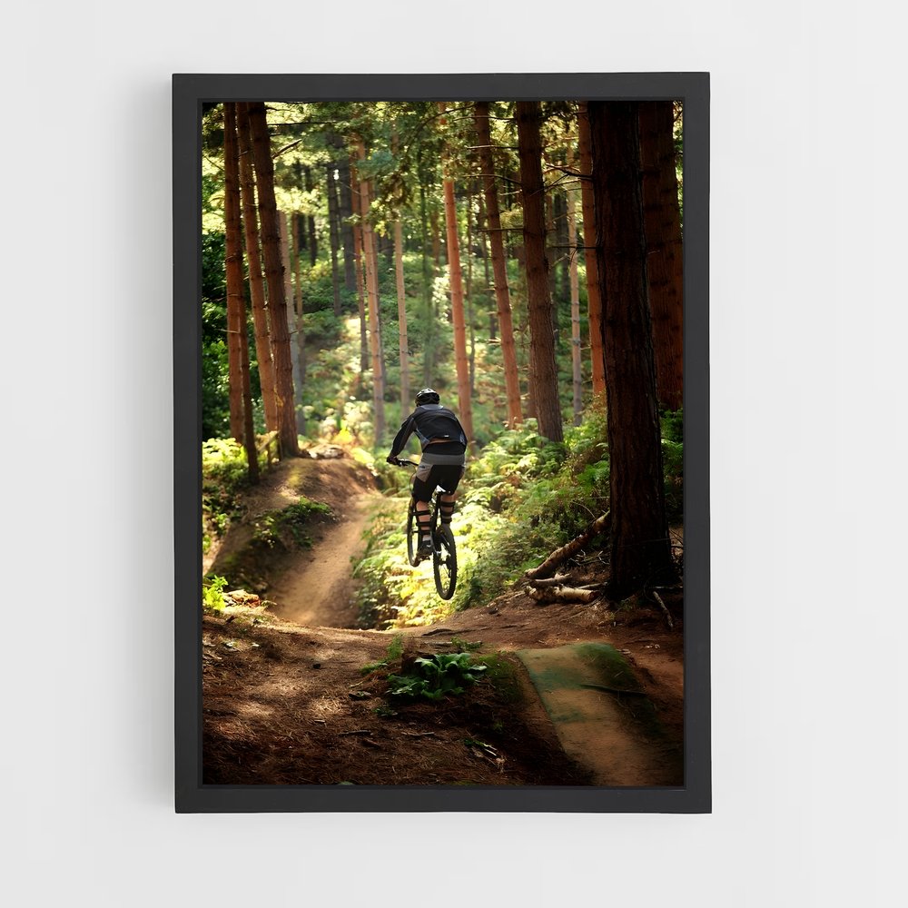 vtt-12 cadre Noir