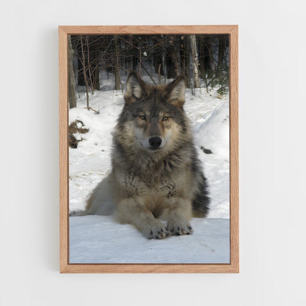 wolf-1 cadre Bois clair