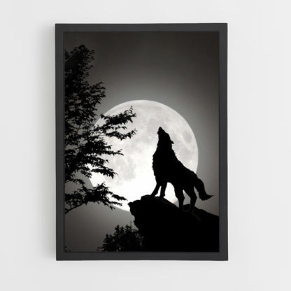 Poster Loup Lune