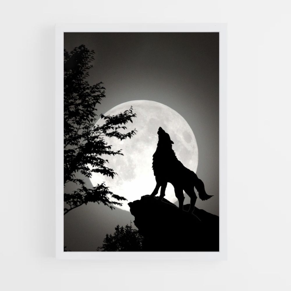 Poster Loup Lune