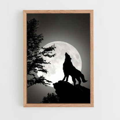 Poster Loup Lune