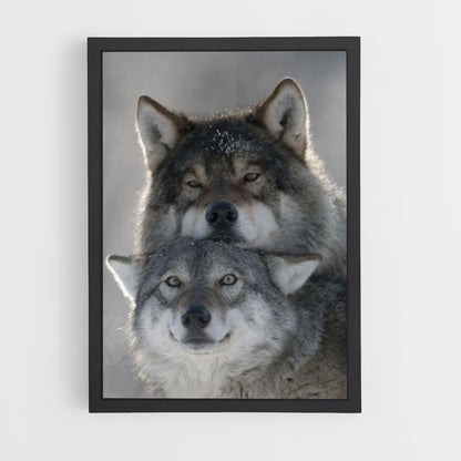 Poster Loup Mignons