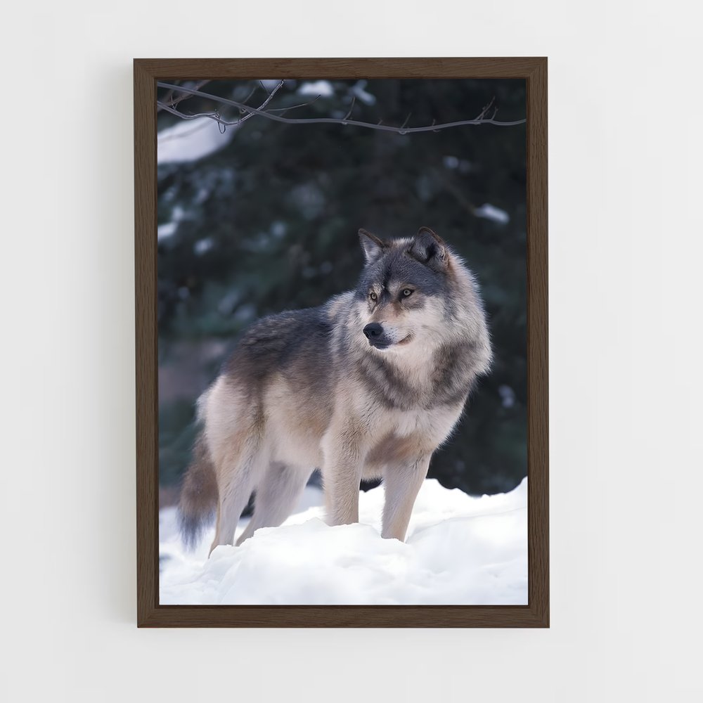 wolf-5 cadre Bois foncé